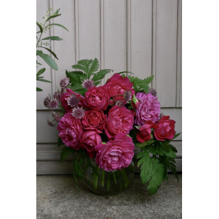 Rosier Guillot® Générosa® - Cybelle® - ©Roses Guillot®