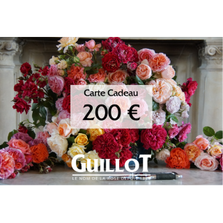 Carte Cadeau 200€ - ©Roses Guillot®