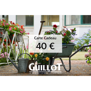 Carte Cadeau 40€ - ©Roses Guillot®