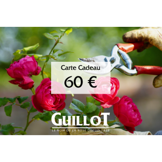 Carte Cadeau 60€ - ©Roses Guillot®