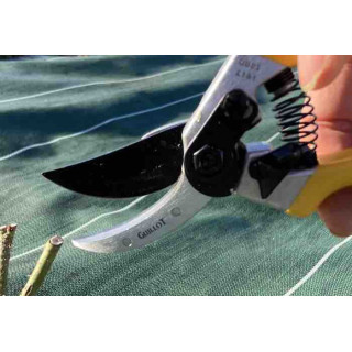 SECATEUR TRADITION
