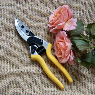 Sécateur - Roses Guillot®