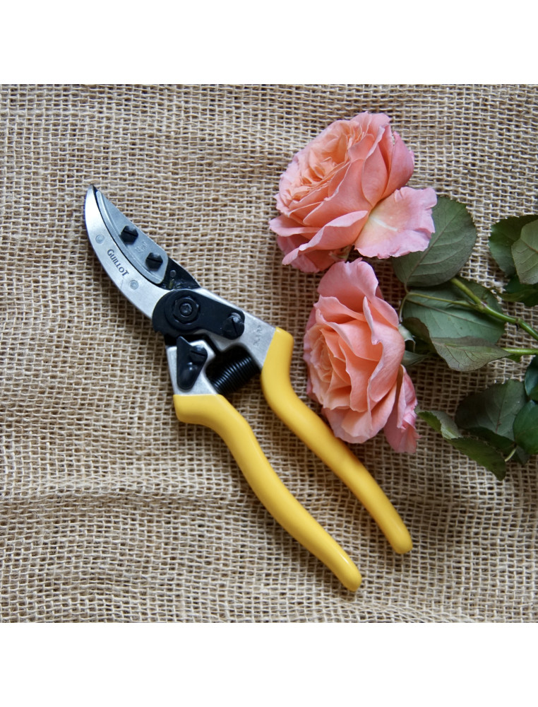 Sécateur - Roses Guillot®