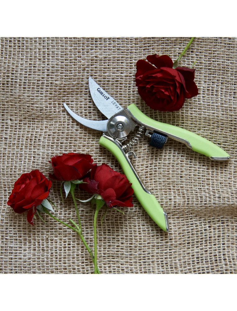 Sécateur - Roses Guillot®