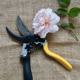 Sécateur - Roses Guillot®
