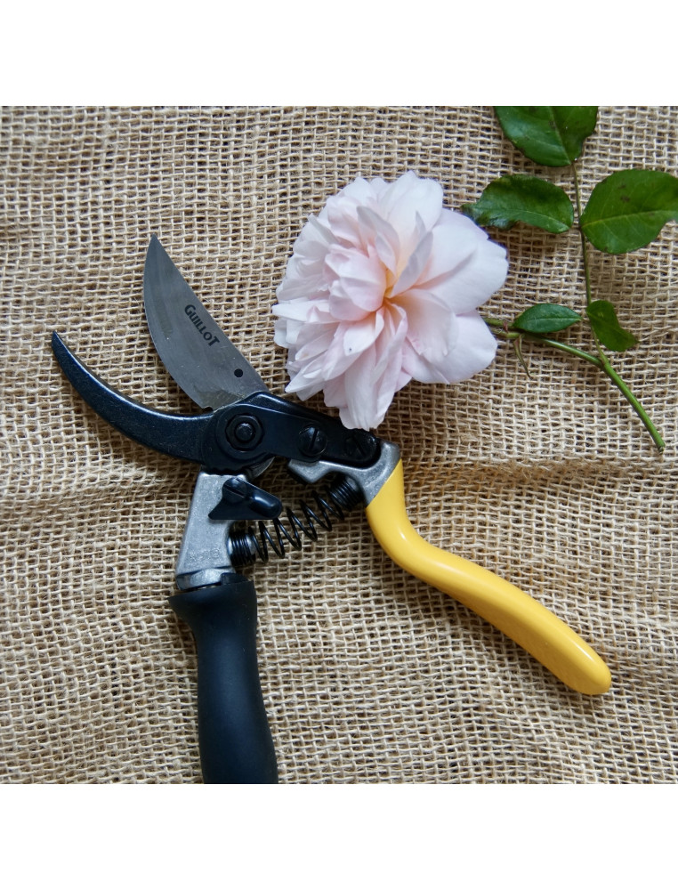 Sécateur - Roses Guillot®