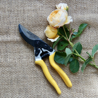 Sécateur - Roses Guillot®