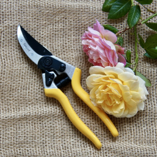 Sécateur - Roses Guillot®