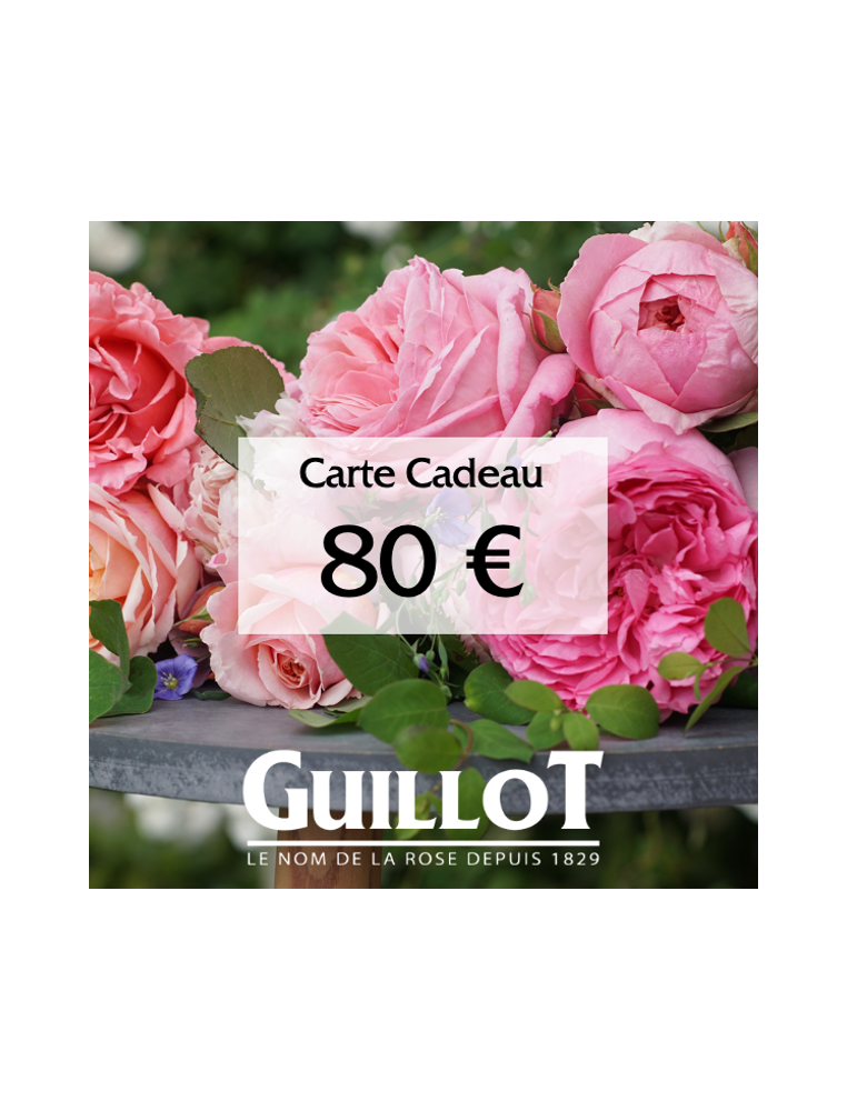 Carte Cadeau 80€ - ©Roses Guillot®