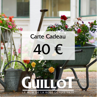 Carte Cadeau 40€ - ©Roses Guillot®
