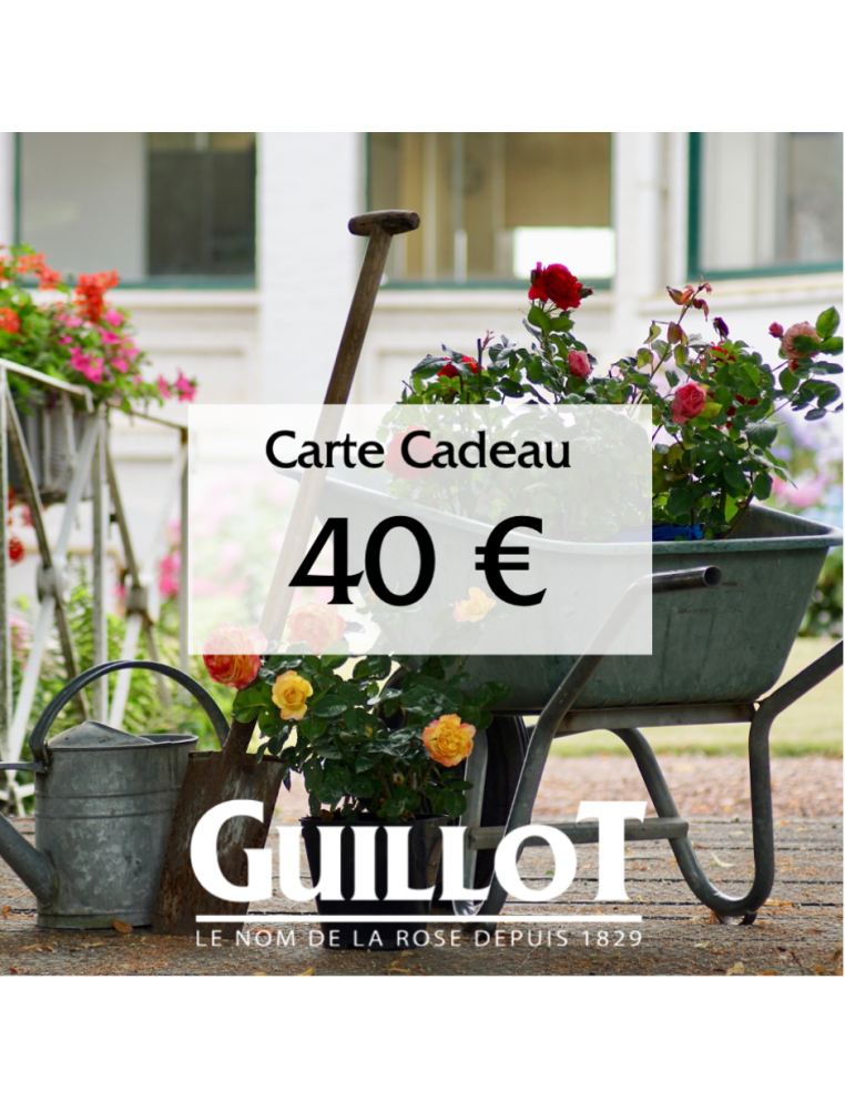 Carte Cadeau 40€ - ©Roses Guillot®