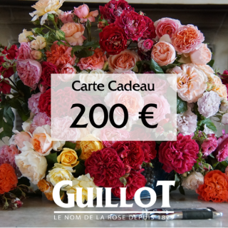Carte Cadeau 200€ - ©Roses Guillot®