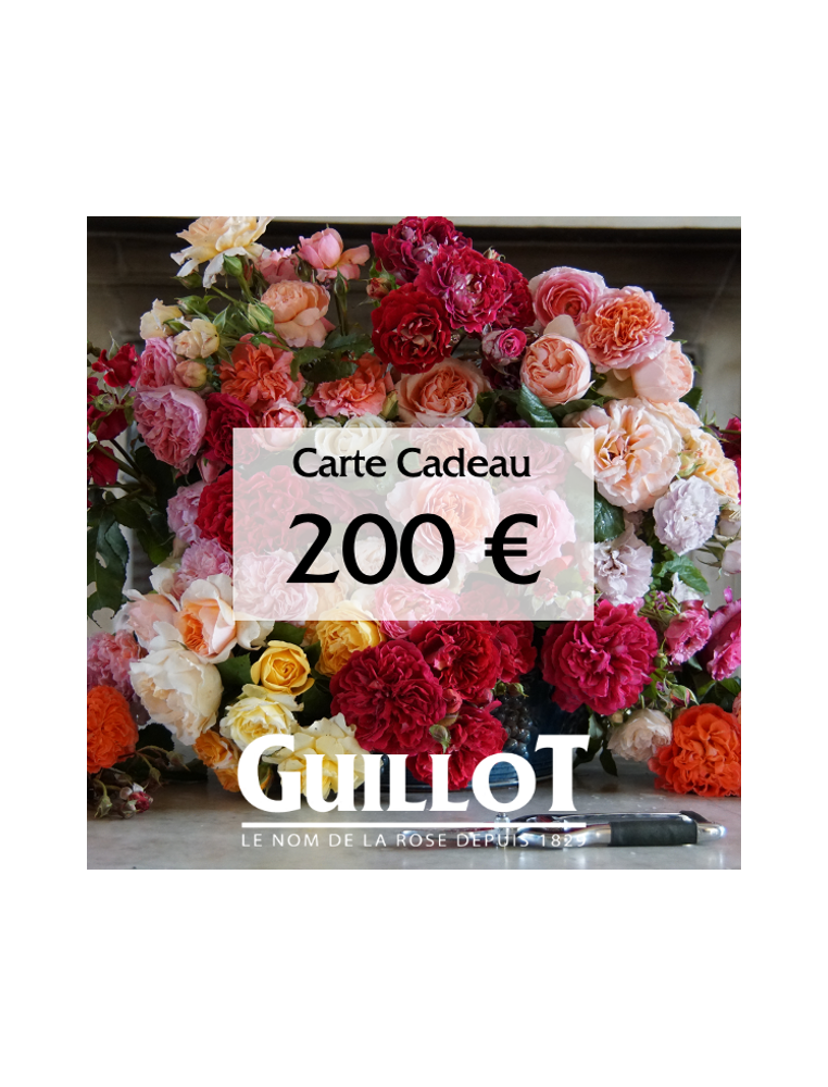 Carte Cadeau 200€ - ©Roses Guillot®
