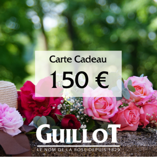Carte Cadeau 150€ - ©Roses Guillot®