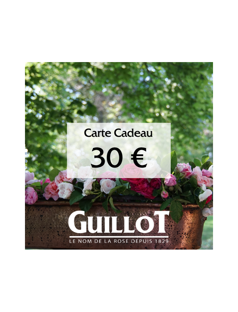 Carte Cadeau 30€ - ©Roses Guillot®